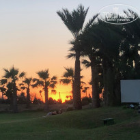 фото из отзыва ID 2013165