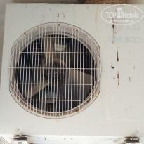 фото из отзыва ID 2013362