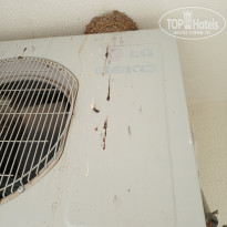 фото из отзыва ID 2013362