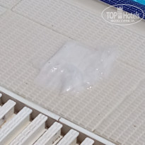 фото из отзыва ID 2013362