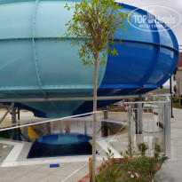 фото из отзыва ID 2013510