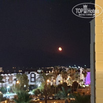 фото из отзыва ID 2013539