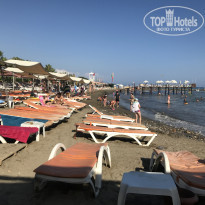 фото из отзыва ID 2012696