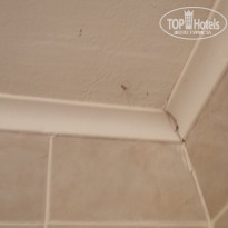 фото из отзыва ID 2013738