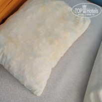 фото из отзыва ID 2013738