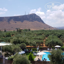 фото из отзыва ID 2013756