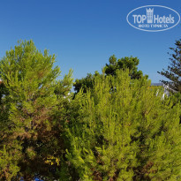 фото из отзыва ID 2013756