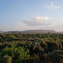 фото из отзыва ID 2013756