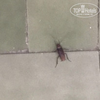 фото из отзыва ID 2013837