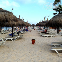 фото из отзыва ID 2013900