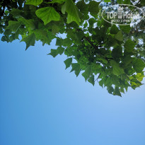 фото из отзыва ID 2013920