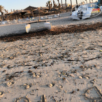 фото из отзыва ID 2013922