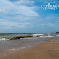 фото из отзыва ID 2013968