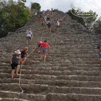 фото из отзыва ID 2014268