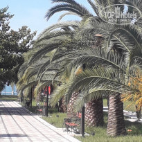 фото из отзыва ID 2014352