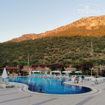 фото из отзыва ID 2014355