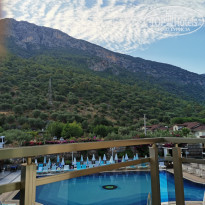 фото из отзыва ID 2014355