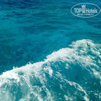 фото из отзыва ID 2014494