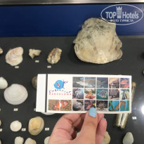 фото из отзыва ID 2014471