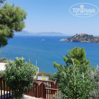 фото из отзыва ID 2014516