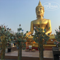 фото из отзыва ID 2014648