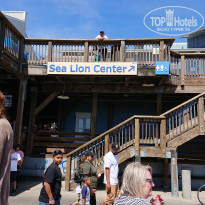 фото из отзыва ID 2014710