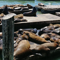 фото из отзыва ID 2014710