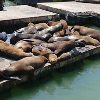 фото из отзыва ID 2014710