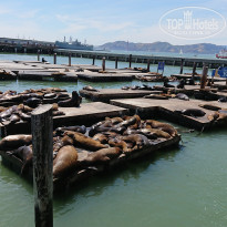 фото из отзыва ID 2014710