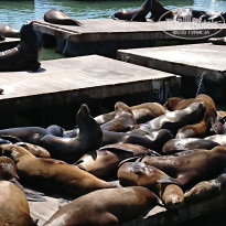 фото из отзыва ID 2014710