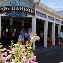 фото из отзыва ID 2014710