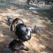 фото из отзыва ID 2014664