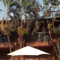 фото из отзыва ID 2014751