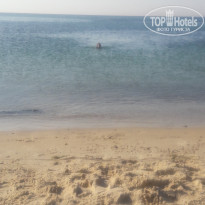 фото из отзыва ID 2014775