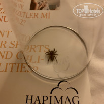 фото из отзыва ID 2014857