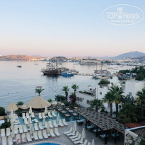 фото из отзыва ID 2014810