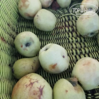 фото из отзыва ID 2014876