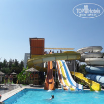 фото из отзыва ID 2014851