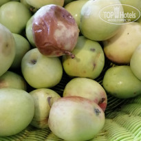 фото из отзыва ID 2014876