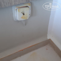 фото из отзыва ID 2014841