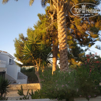 фото из отзыва ID 2014894