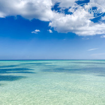 фото из отзыва ID 2014895