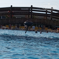 фото из отзыва ID 2013362