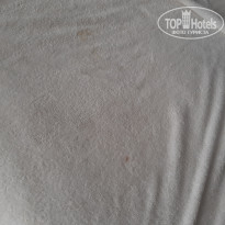 фото из отзыва ID 2015079