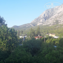 фото из отзыва ID 2015108