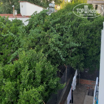 фото из отзыва ID 2015108