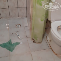 фото из отзыва ID 2015108