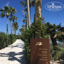 фото из отзыва ID 2015138