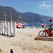 фото из отзыва ID 2014930