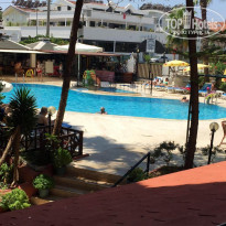 фото из отзыва ID 2015161